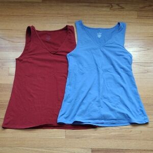 Lot Of 2 Torrid Sleeveless Tops Size 2